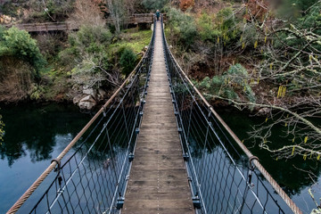 Fototapeta premium bridge in forest
