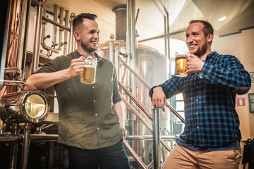 Two men tasting fresh beer in a brewery
