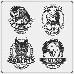 Set of basketball badges, labels and design elements. Sport club emblems with pitbull, owl, bobcat and polar bear. Print design for t-shirts.