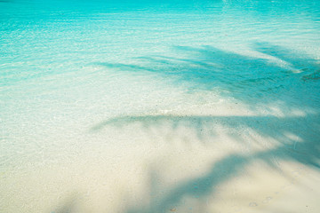 sea and beach with coconut palm tree shadow