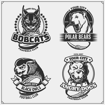 Football badges, labels and design elements. Sport club emblems with polar bear, bobcat, pitbull and owl.