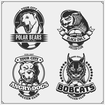 Soccer badges, labels and design elements. Sport club emblems with polar bear, bobcat, pitbull and owl. Print design for t-shirt.