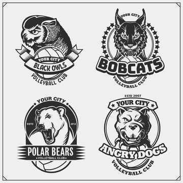 Sef of volleyball badges, labels and design elements. Sport club emblems with pitbull, owl, bobcat and polar bear. Print design for t-shirts.