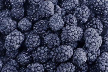 frozen blackberry. Top view, flat lay, copy space