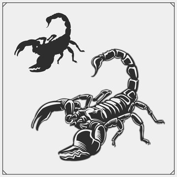 Silhouettes of a scorpion. Scorpions emblems and icons. Print design for t-shirt. Tattoo design.