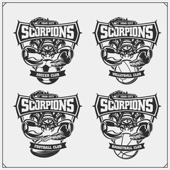 Obraz premium Volleyball, basketball, soccer and football logos and labels. Sport club emblems with scorpion. Print design for t-shirts.
