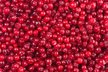 Frozen cranberry pattern. Flat lay, top view, square