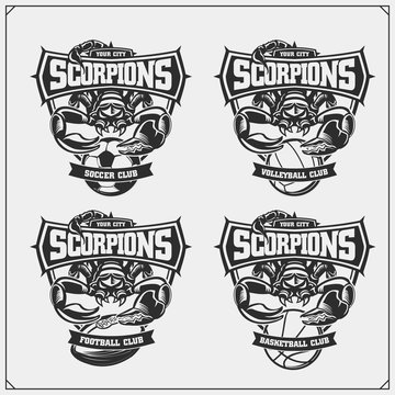 Volleyball, basketball, soccer and football logos and labels. Sport club emblems with scorpion. Print design for t-shirts.
