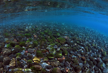 Underwater background. Clear blue ocean. Half water, split. Diving, snorkeling, swimming. Tulamben, Bali, Indonesia.