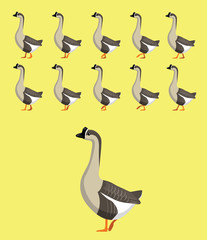 Animal Animation Sequence Goose Cartoon Vector