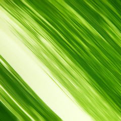 abstract green blur line background