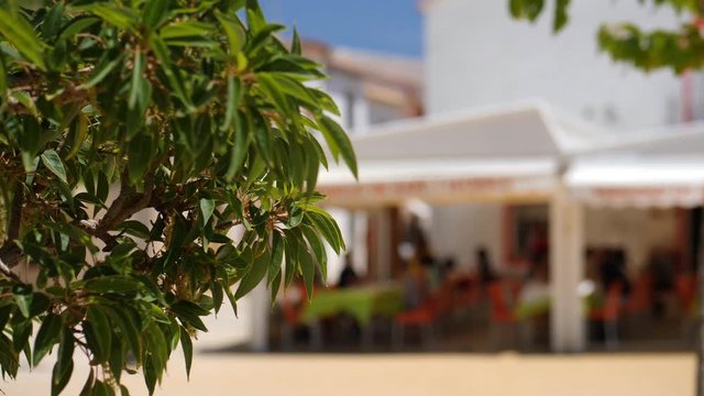 At the village square people sit in a restaurant in the shade on the small Spanish island of Tabarca. In the foreground green leaves sharp and in the background the people with soft bokeh.