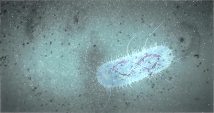 Bacteria E-coli in cellular medium floating  swimming bacterium Escherichia Coli Antibiotics resistant concept  DNA bacteria 3d rendering