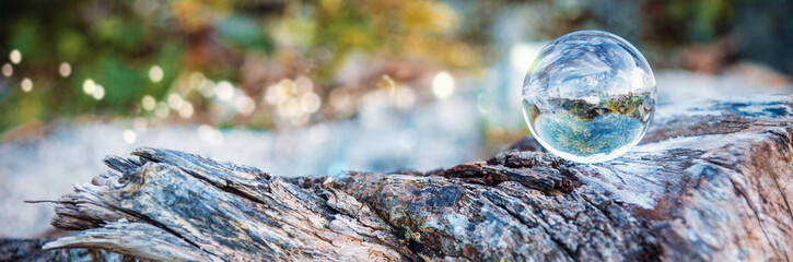 Magische Natur-Glaskugel auf einem alten knorrigen Baumstamm