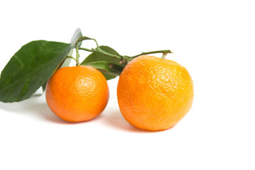 Fototapeta na wymiar Above view of citrus fruits - oranges with leaves isolated on white background