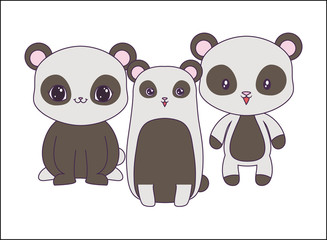 panda bears animals isolated icon