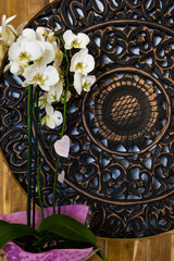 White orchids agains wooden rustic background