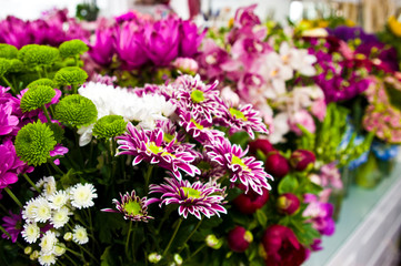 Flowers choice at florist shop