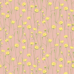  Ranunculus acris.Yellow wildflowers. Small blooming weed. Botanical illustration. Herb plant.