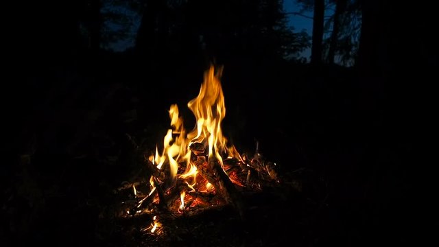 Fire in a fireplace. Burn fire with wood and legs outdoor. Campfire in the night forest while camping