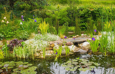 A pond in a north east Italian garden during the spring