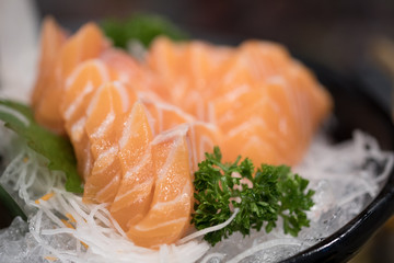 Salmon sashimi in Japanese style fresh serve on ice