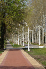 Laternenallee in Palić bei Subotica - Vojvodina - Serbien