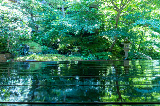 瑠璃光院 逆さ新緑 (日本庭園, 寺社)