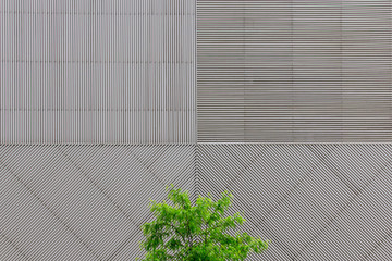 Abstract Geometric Architecture Background. Tree Against Grey Building. Nature and City.