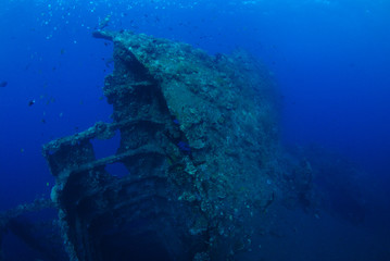 Libety wreck, underwater world, artificial reef. Clear blue sea. Tulamben, Bali, Indonesia. 