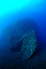 Libety wreck, underwater world, artificial reef. Clear blue sea. Tulamben, Bali, Indonesia. 