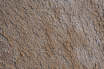Close up texture background of saline soil
