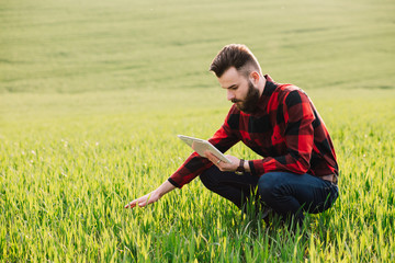 Young handsome bearded farmer with tablet standing in wheat field in early summer © anatoliycherkas