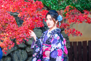 Young women wearing traditional Japanese Kimono  with colorful maple trees in autumn.