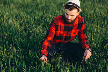 Fototapeta na wymiar Young handsome bearded farmer with folder analyzes the crop in wheat field in early summer