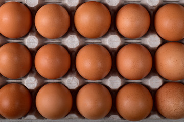 Three even rows of brown chicken eggs in the nests of the carton