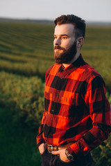 Modern bearded agronomist working on currant field at sunset outdoor