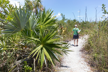 Nature plants key west florida keys outdoor beautiful