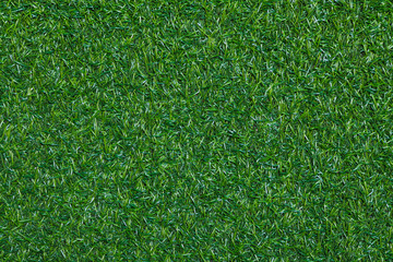 Fototapeta premium green grass texture background