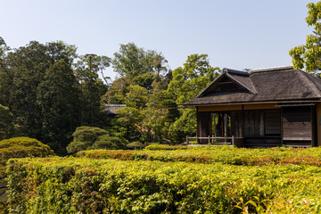 日本庭園 桂離宮 (京都)
