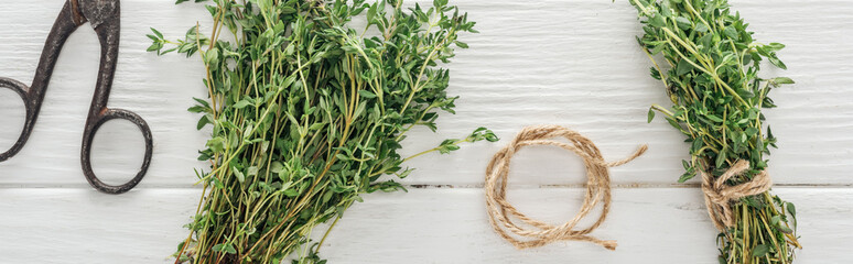 panoramic shot of green thyme, retro scissors and thread on white wooden table