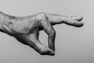 Rob Wilkinson Photographer