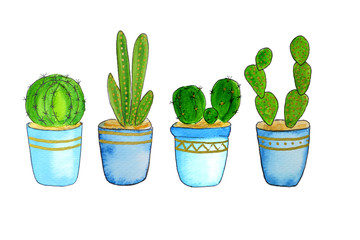 Set of home green plants and cacti watercolor  illustration. Different types of various kinds of...