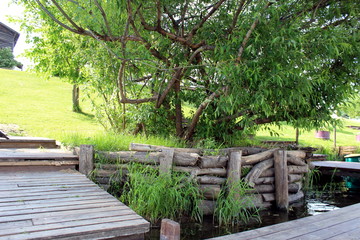 a tree grows on the bank of a river surrounded by a wooden fence