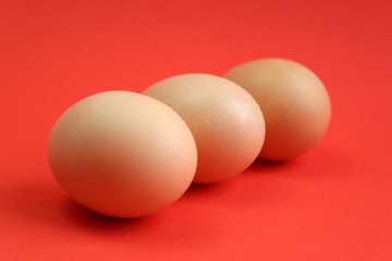 chicken eggs are on a red background