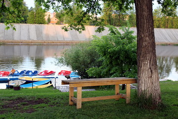 Obraz premium Lonely bench stands under a tree by the river