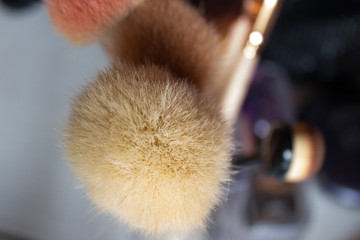 Different brushes for applying women's makeup