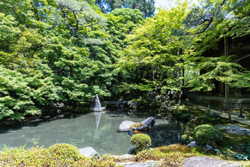 日本庭園と枯山水 回遊式庭園 京都 Wall Mural Wallpaper Murals Sands