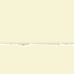 Pastel yellow  texture of torn paper. Preparation for an inscription, a cover, registration, banners.Torn paper with copy space for your text. Illustration.