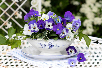 florale Dekoration mit Hornveilchen in Lila und Weiß in Sauciere